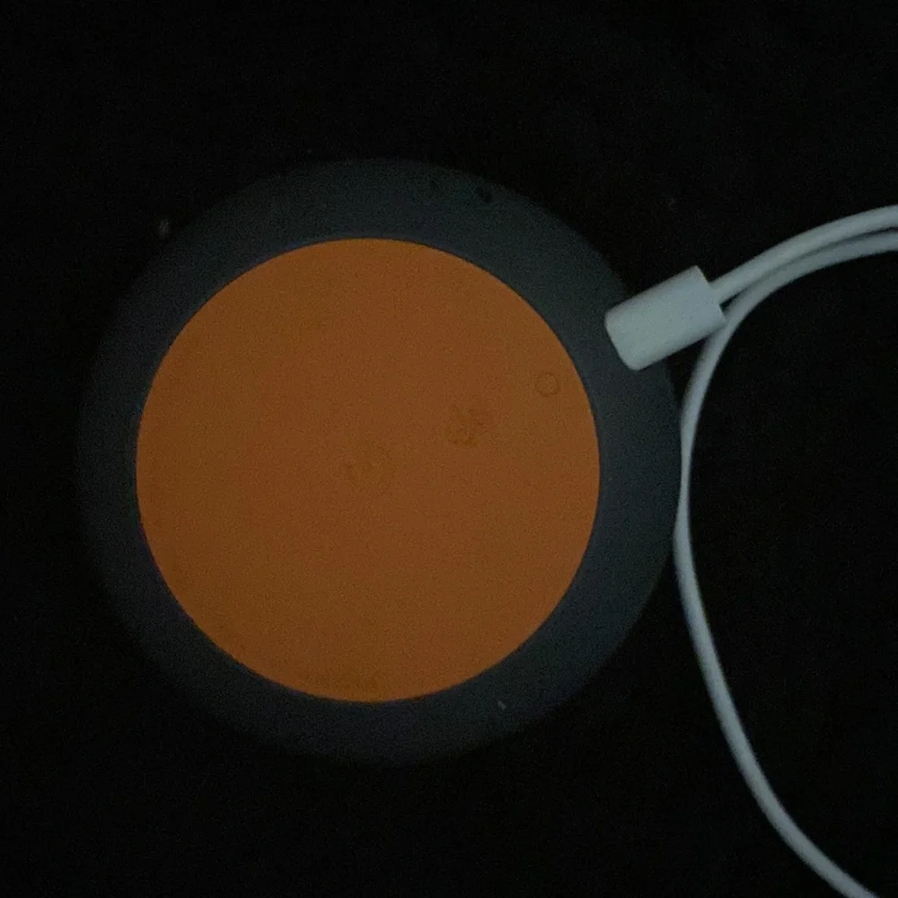 Google home mini